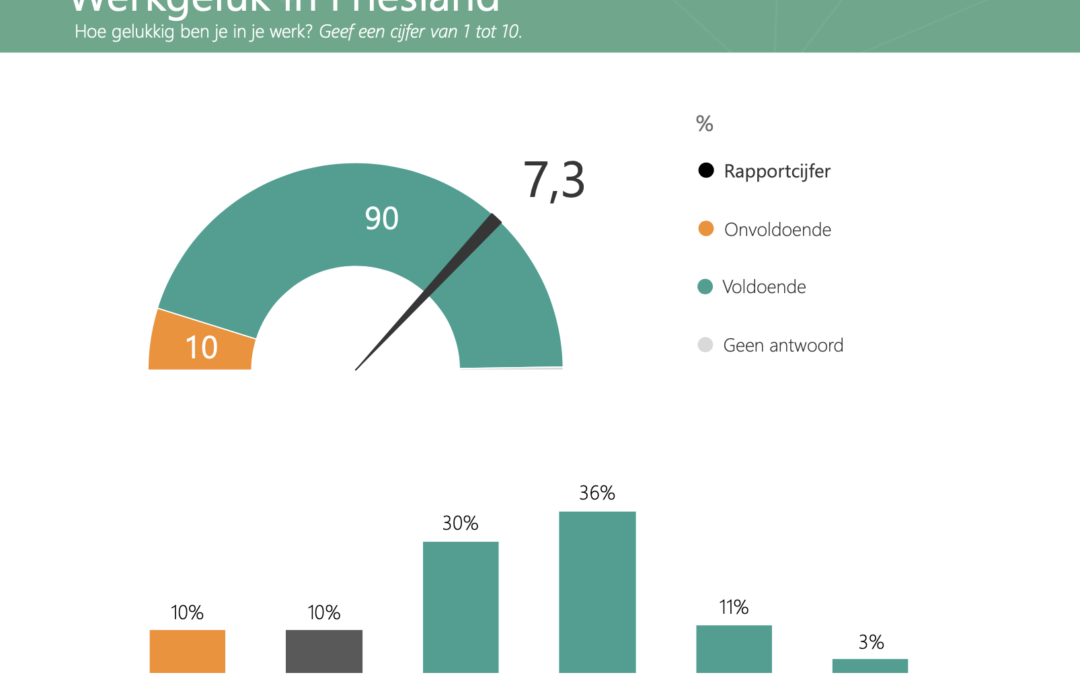 Onderzoek Werkgeluk Friesland