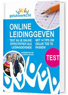 Test Online leidinggeven